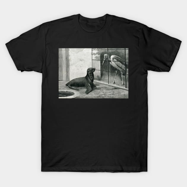 The New neighbour by Henry Stacy Marks T-Shirt by artfromthepast